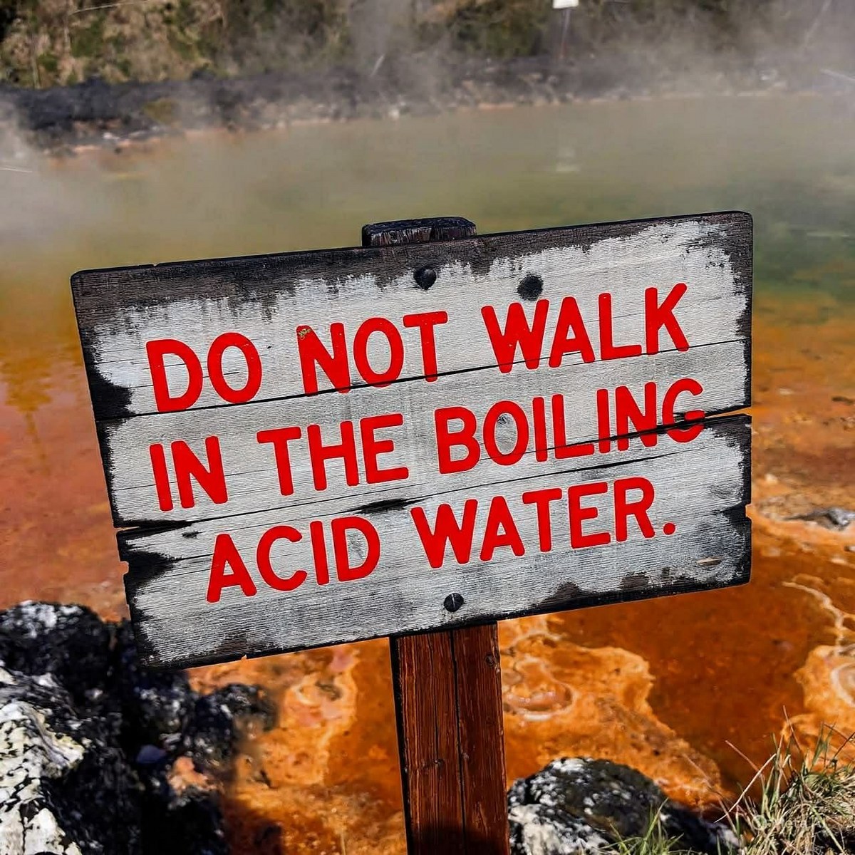 First Stupid Tourist Of 2026 Walks In Yellowstone Acid Water