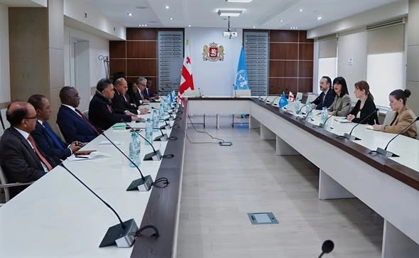 Georgia discusses peace policy with UN ambassadors