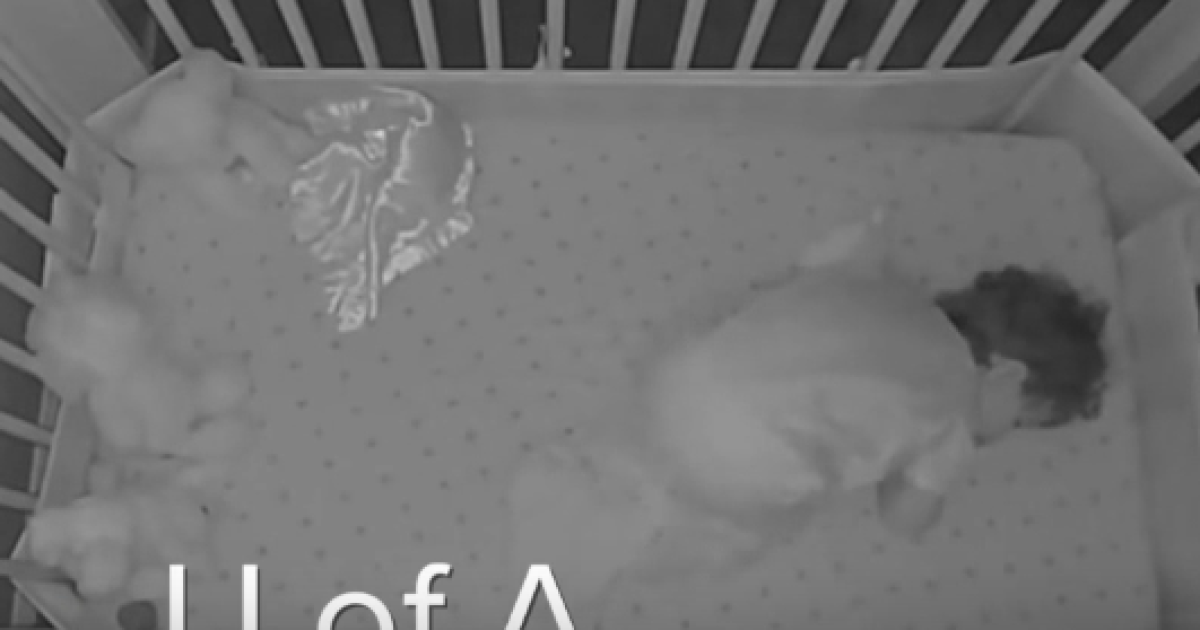 Gilbert baby goes viral for 'U of A' chant after Wildcats make Final Four