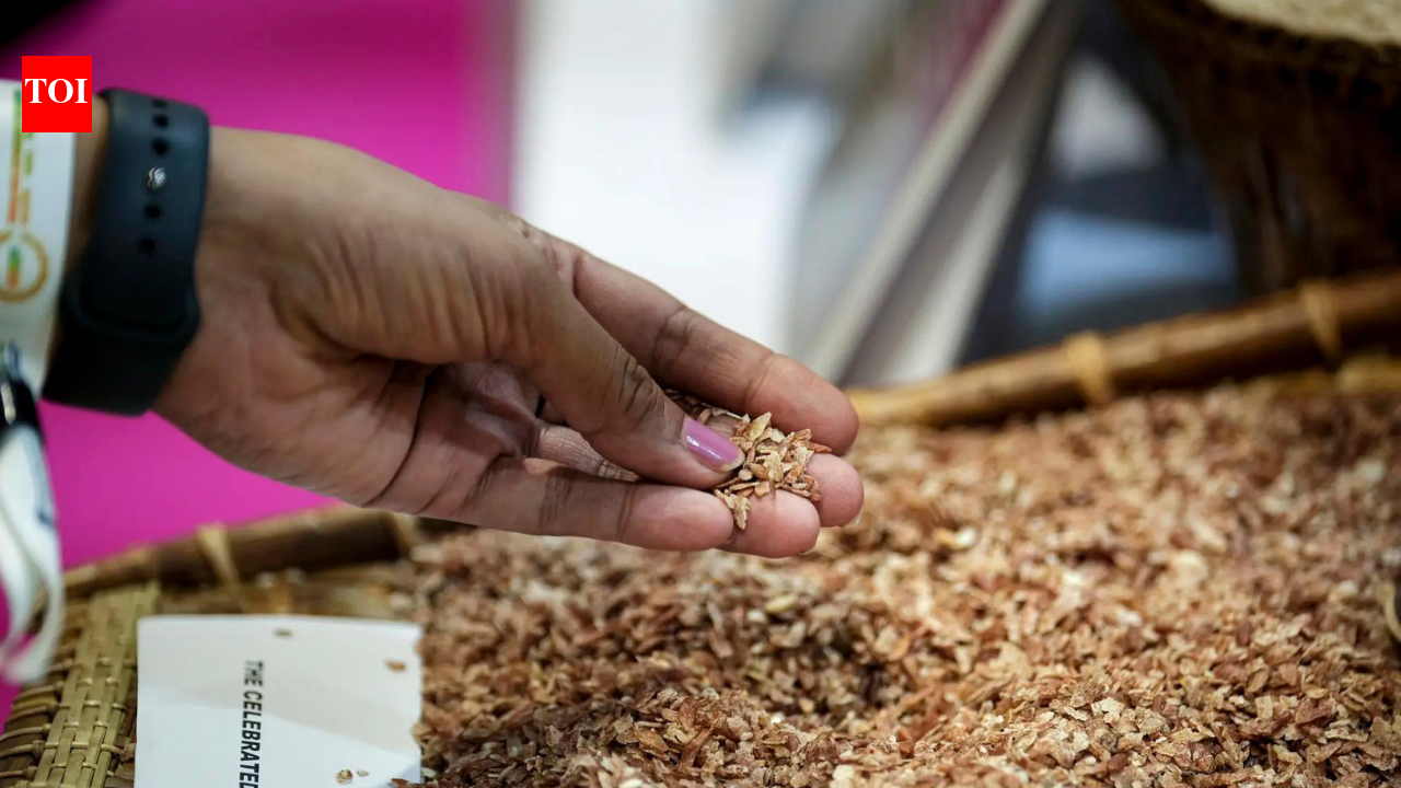 Govt mulls sending surplus rice as aid to conflict-hit Iran | India News