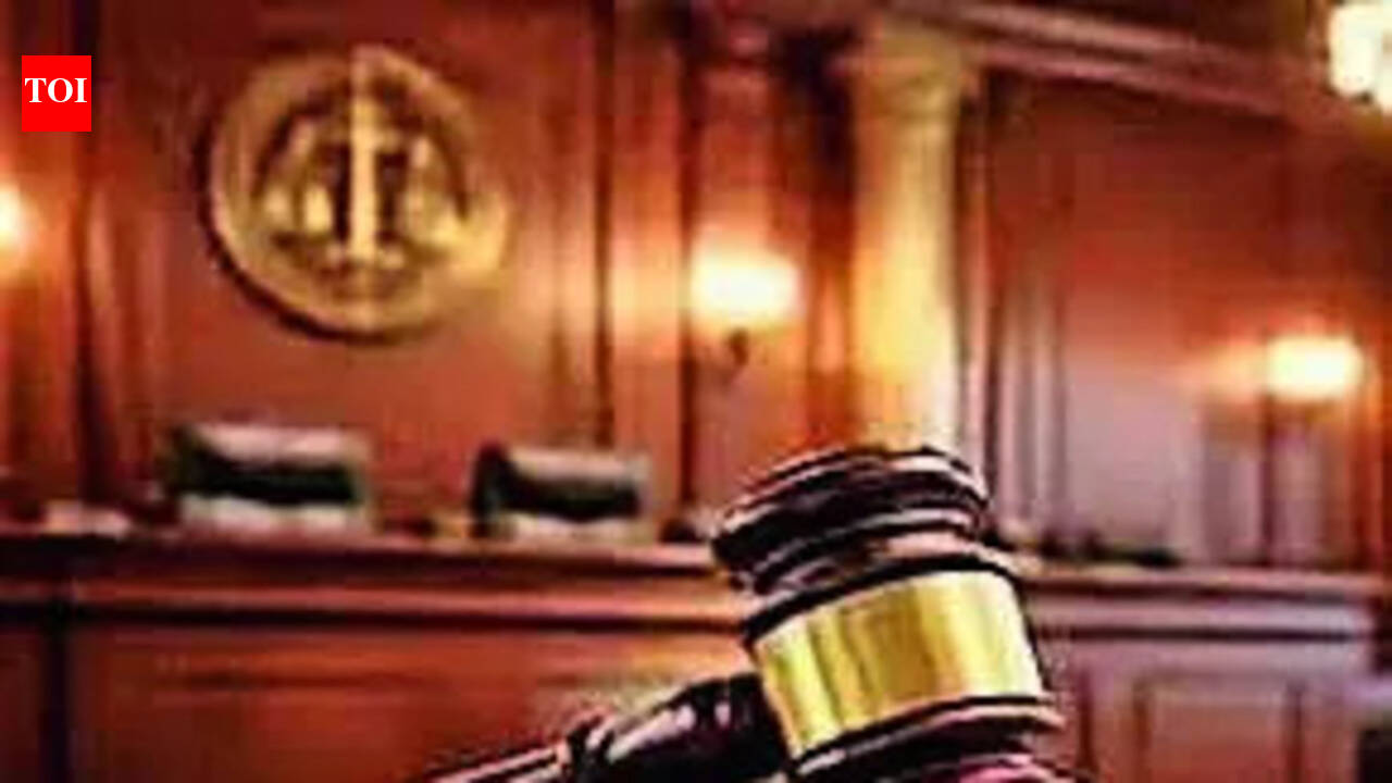 HC seeks govt reply on bail pleas of youths held over Ganga iftar row | Prayagraj News