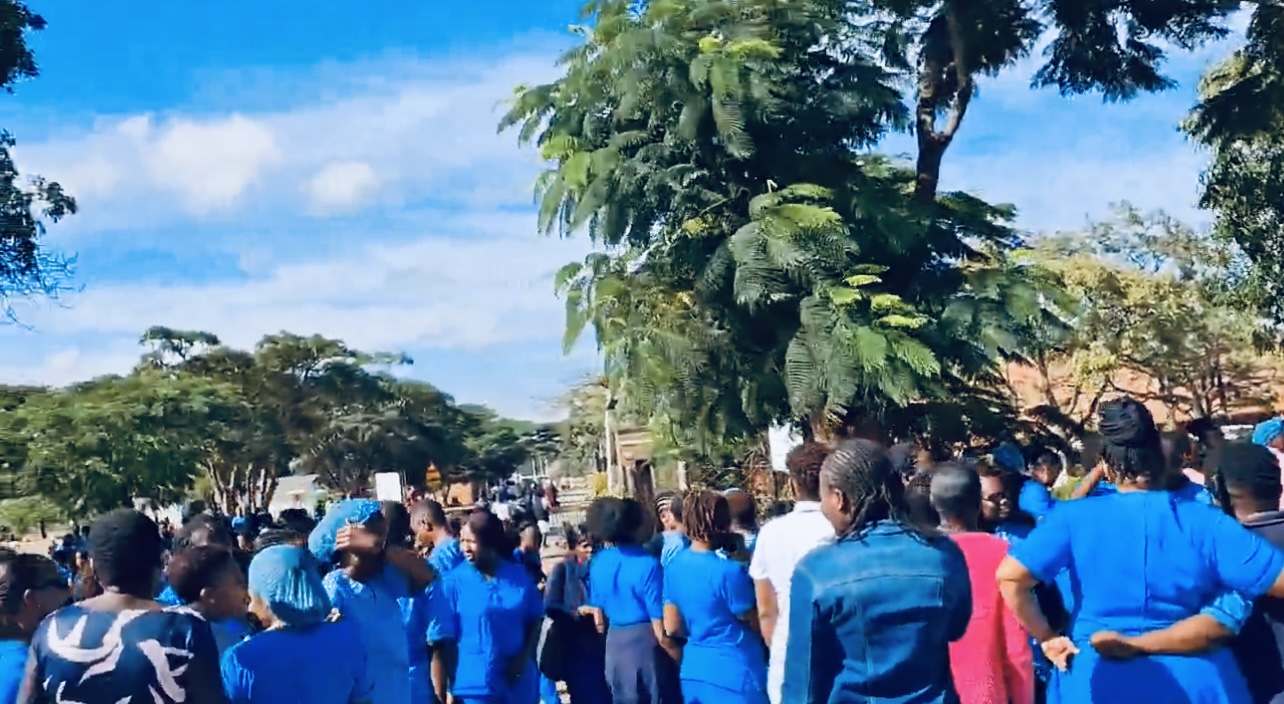 Health minister Mombeshora pleads with striking nurses to return to work