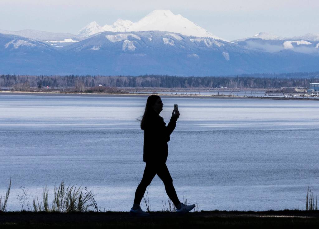 A person walks along a trail at Harborview Park with a snow-covered Mt. Baker in the background on March 14, 2025 in Everett. (Olivia Vanni / The Herald)