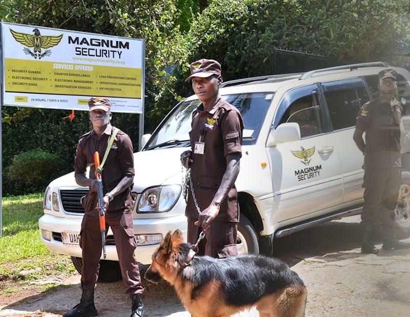 Kamwokya security guard vanishes with Shs 290m, gold