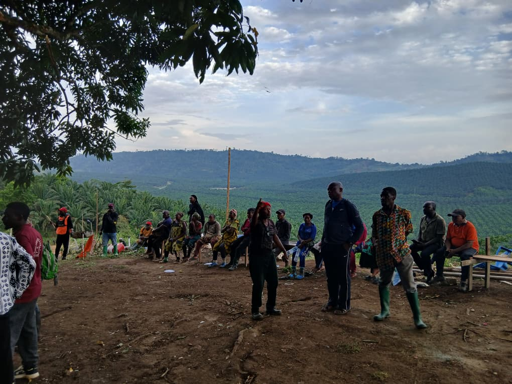 Land Dispute Escalates: Arrests and Demolitions as Mbinde and Meveo Clash in Fako Division