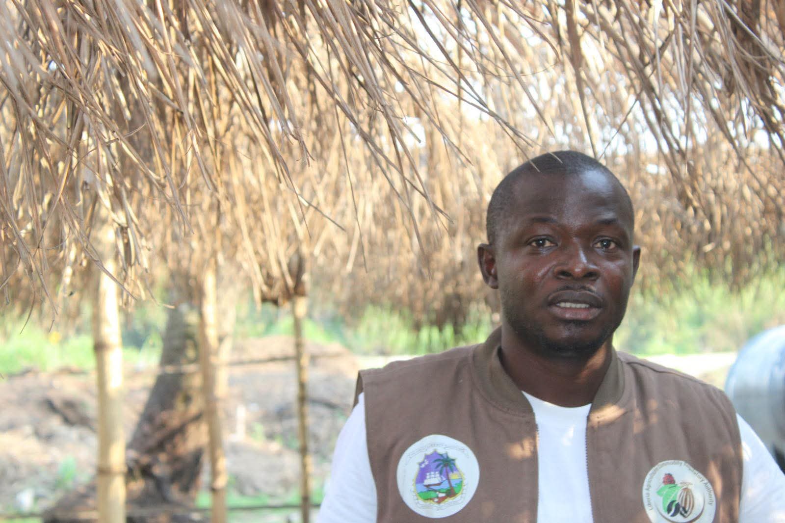 Liberia: LACRA's Board Suspends Gongolee Amid Illegal Cocoa Smuggling Allegations