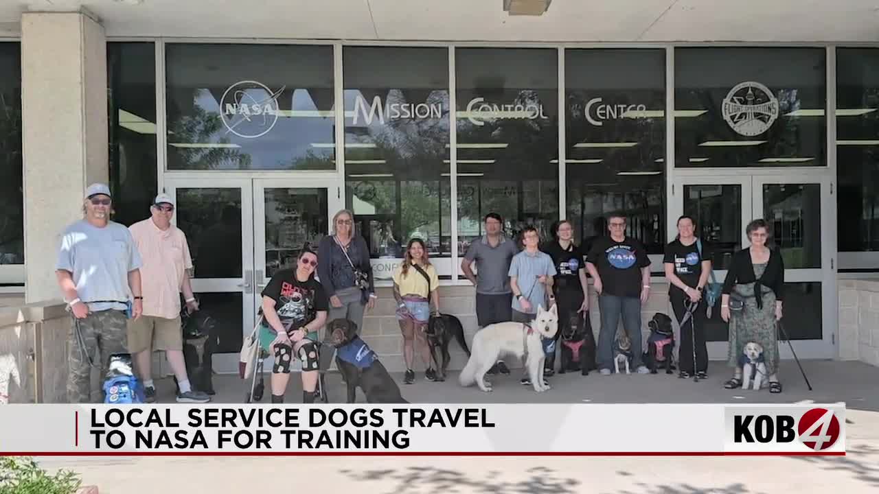 Local service dogs train at NASA’s Johnson Space Center