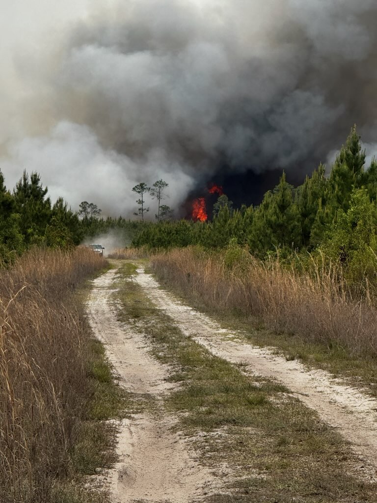 Major road closures in effect for Brantley, Wayne and Glynn evacuation