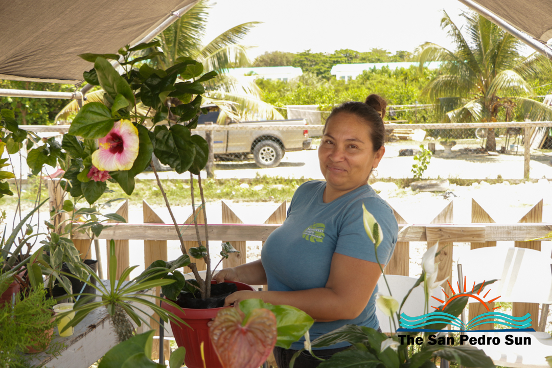 Market Day Initiative Promotes San Pedro’s Local Market