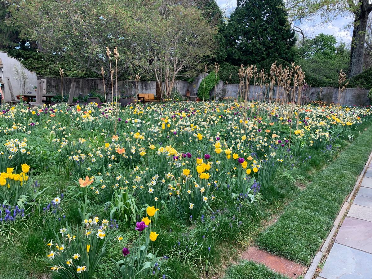 Mother's Day things to do New Jersey 2026 county by county