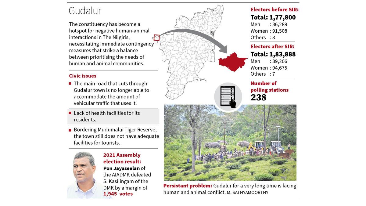 Negative human-wildlife interactions a major issue in ecologically-fragile Gudalur
