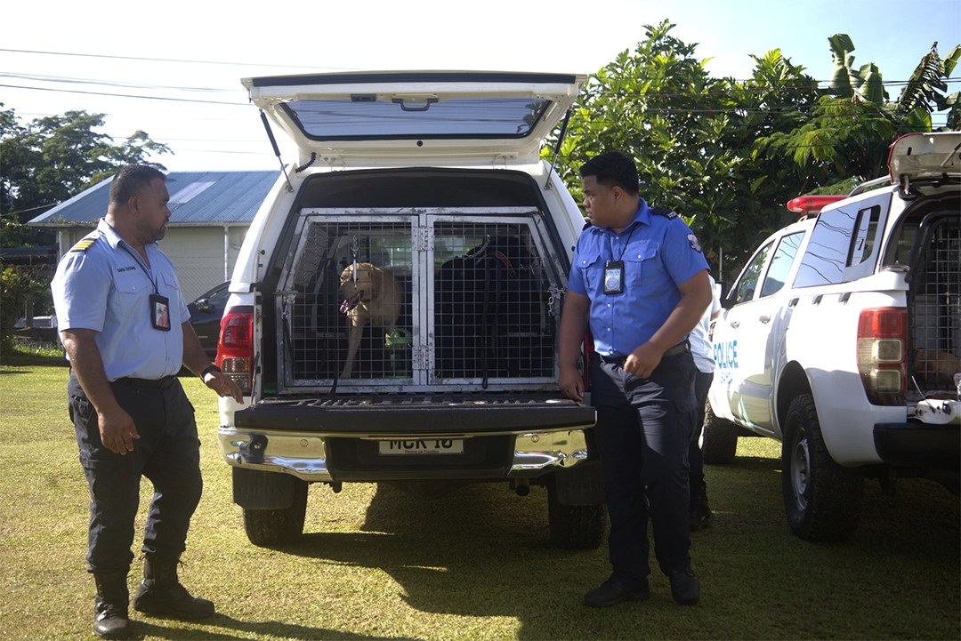 New Zealand supports Samoa with detector dog and new K9 officers