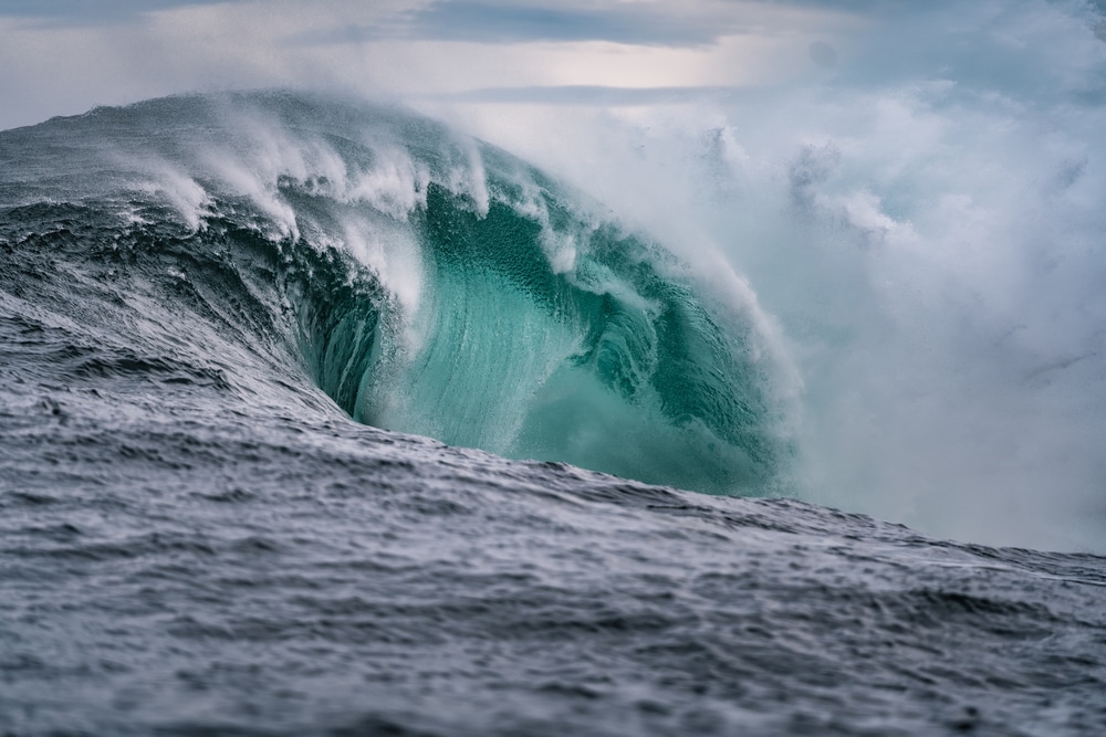 Panama’s Ocean Lifeline Vanishes for the First Time in 40 Years