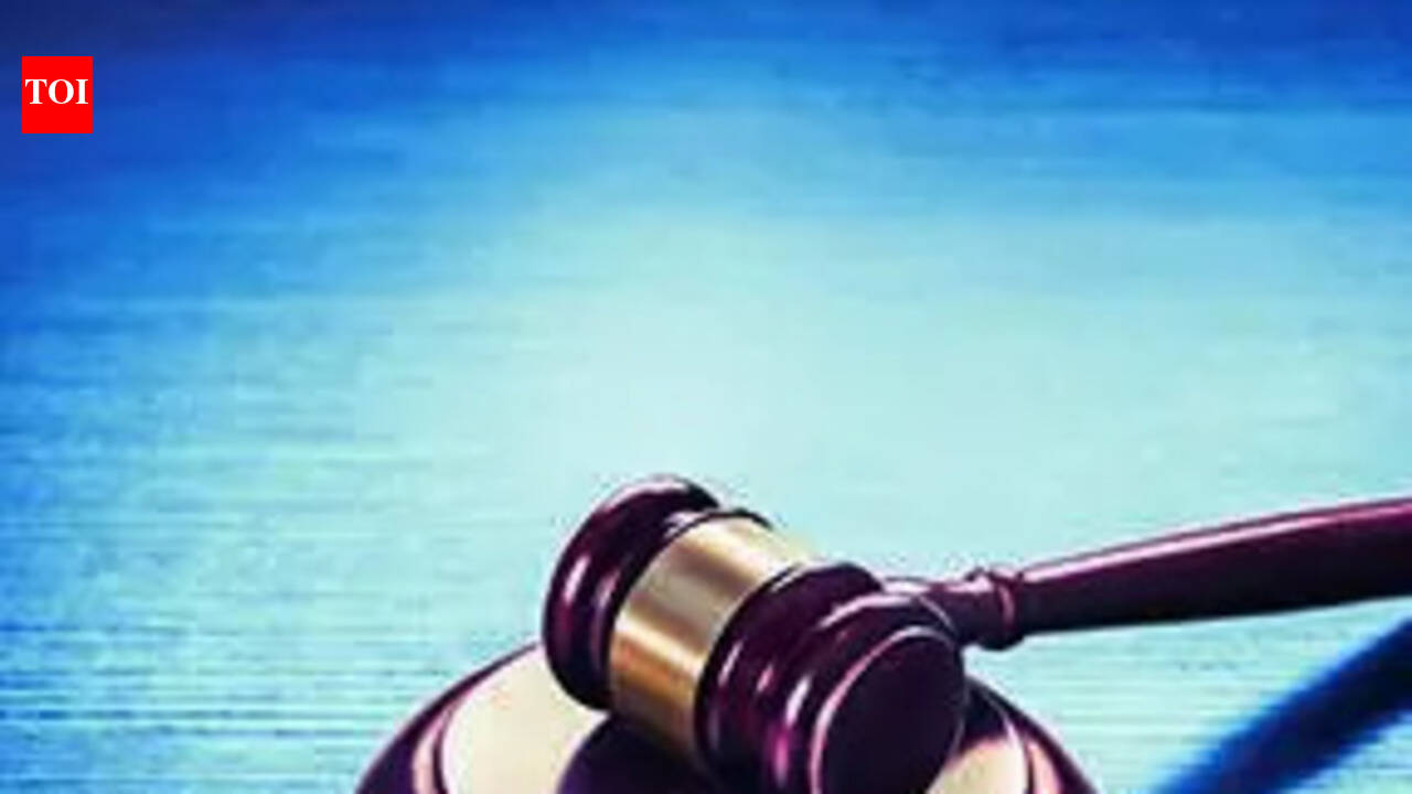 Police doing ‘great disservice’: HC quashes FIR in consensual marriage case | Prayagraj News
