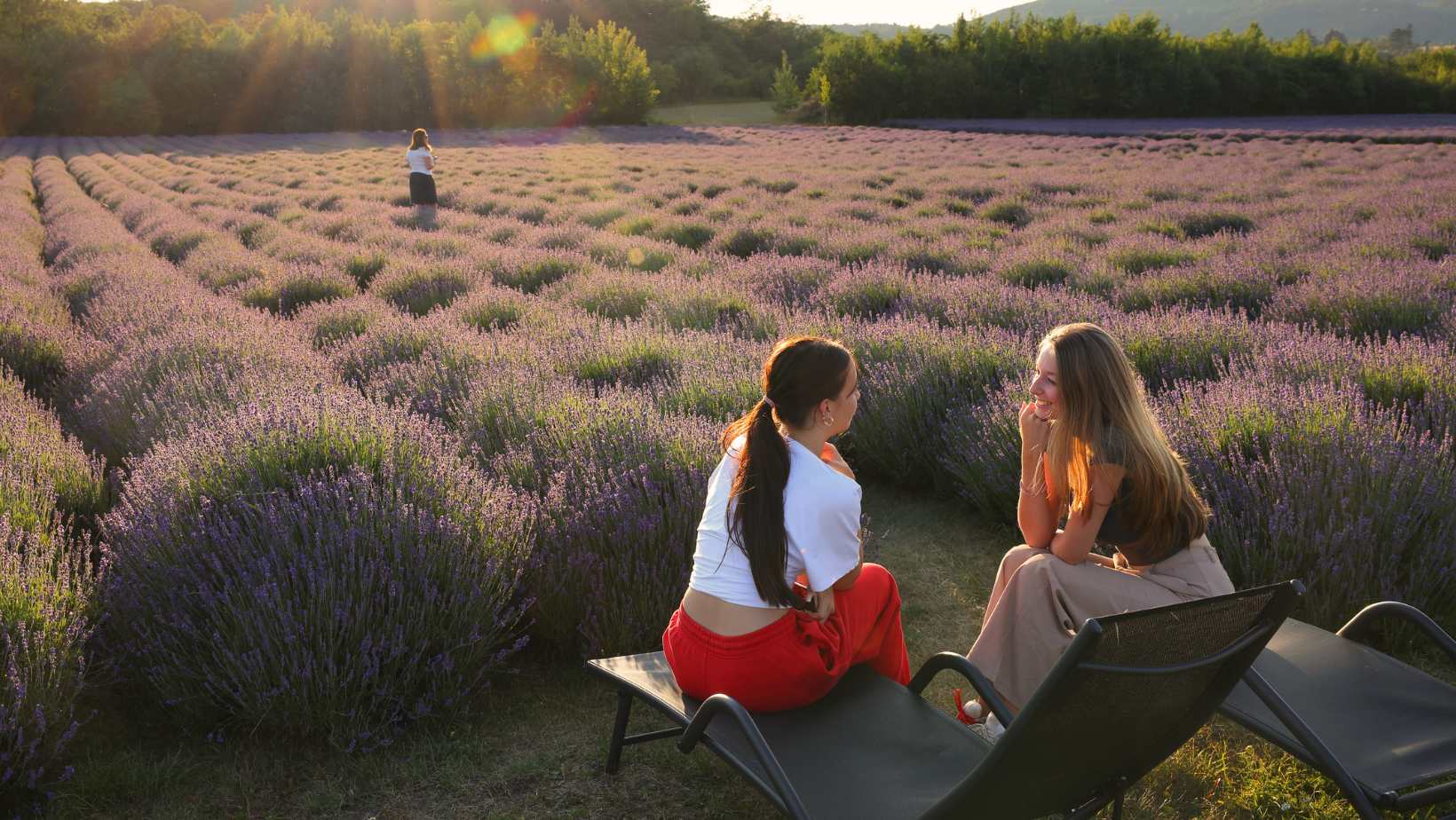 Prague Lavender Valley Day Trip in Central Bohemia