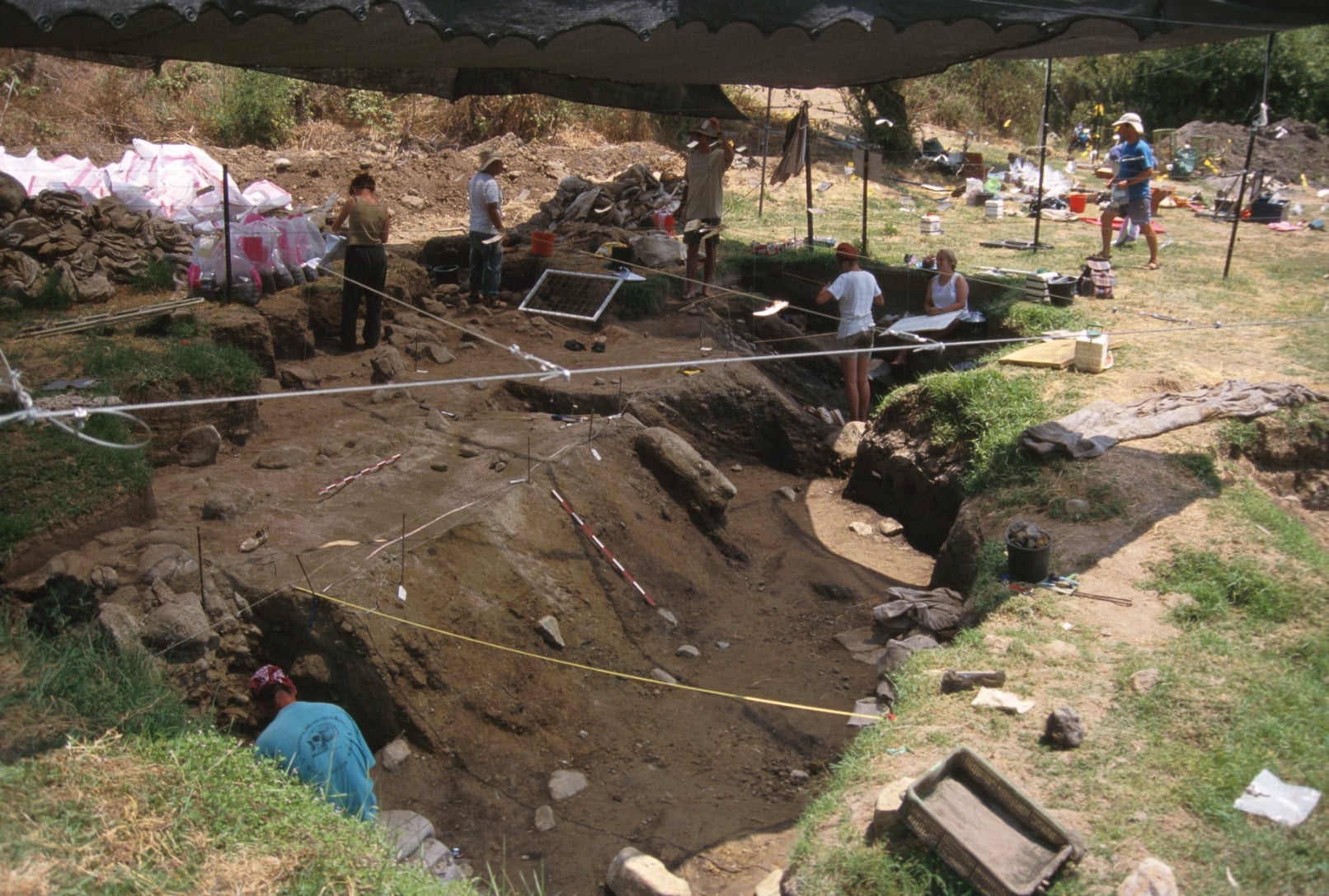 Rare ancient charcoal shows how prehistoric 'Israelis' were already grilling 780,000 years ago