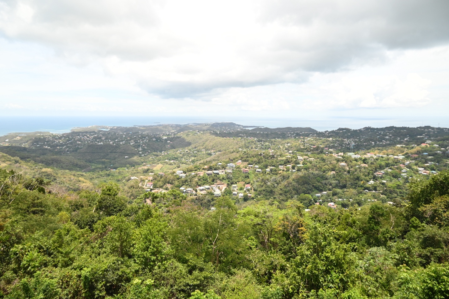 Sandals Foundation takes students on mindfulness nature trail for Earth Day