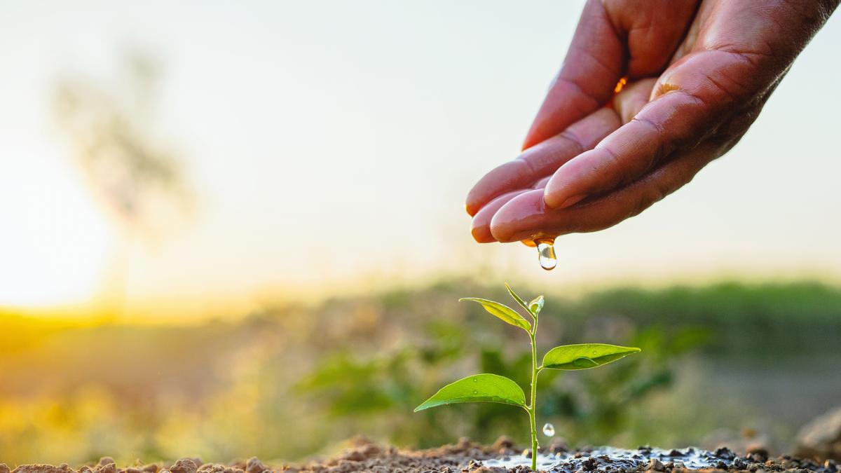 Scaling climate adaptation from policy to grassroots