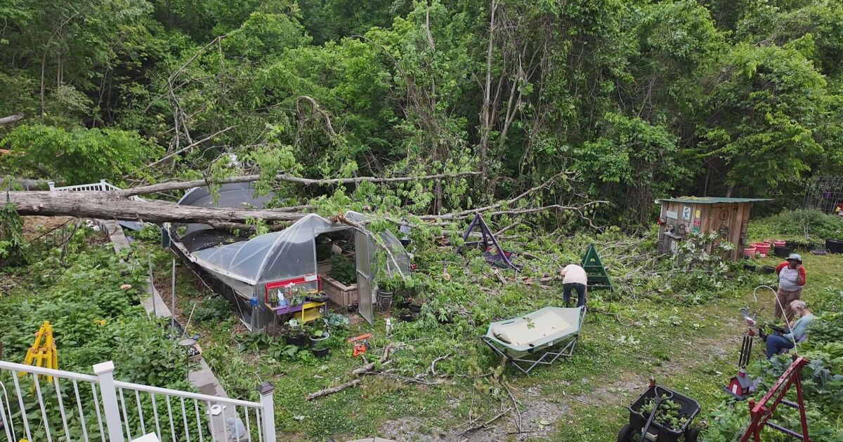 Severe storms damage a beloved Goodlettsville botanical sanctuary