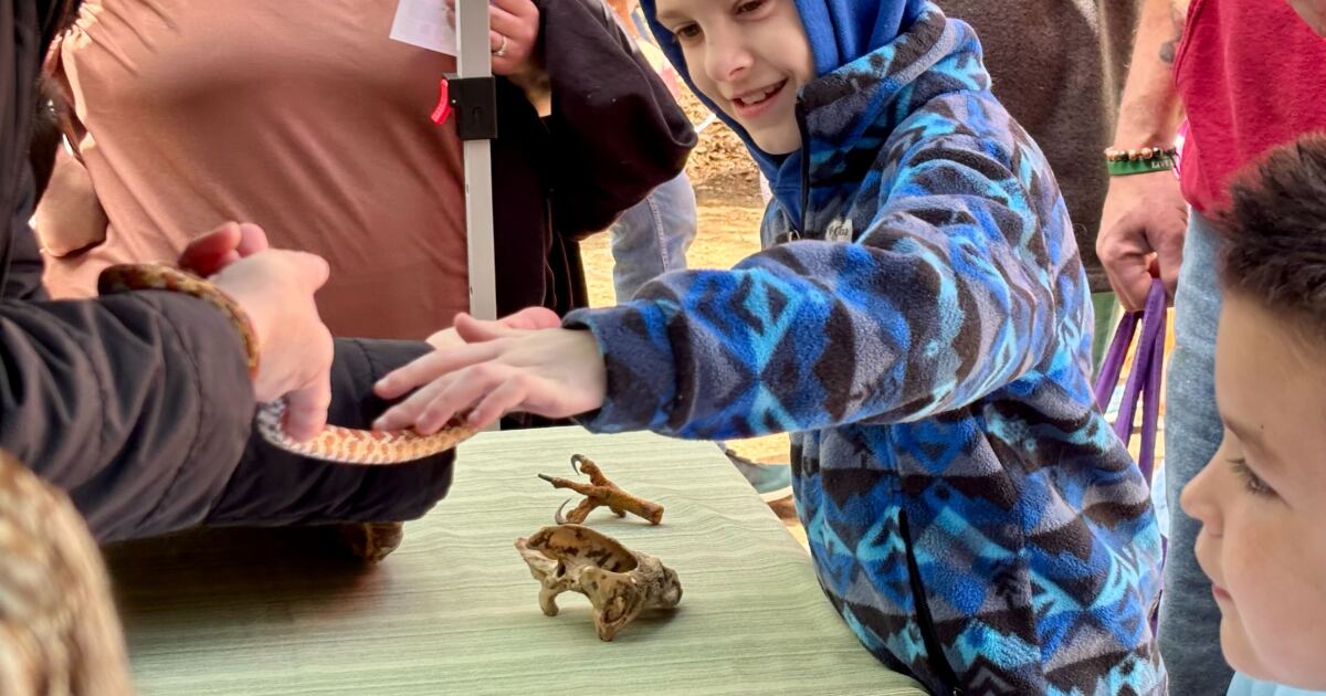 Snakes, hawks, and moose collars: ‘Discover Wild NH Day’ wows young and old