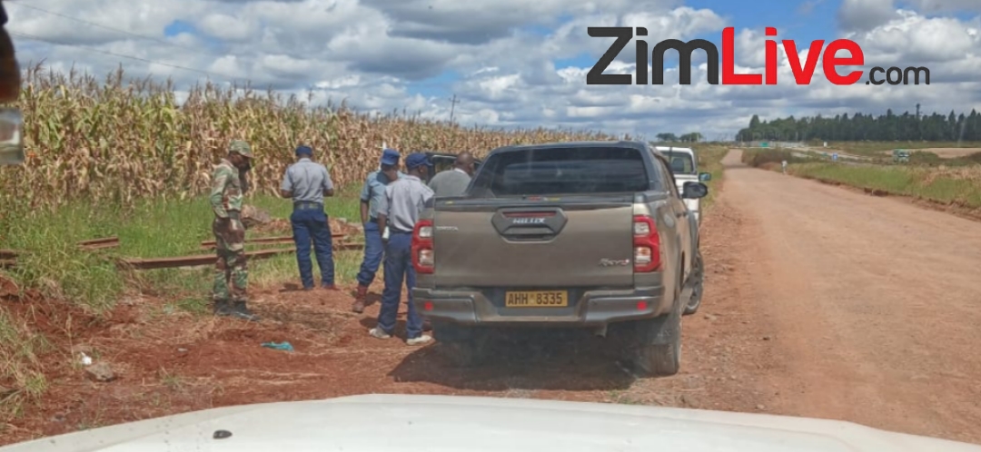 Soldiers block High Court sheriff from evicting them from contested farm