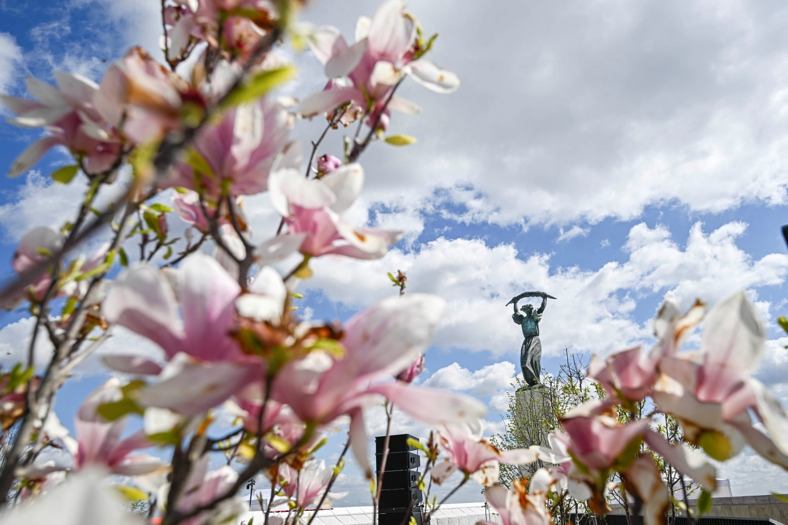 Spring Break Boosts Domestic Tourism