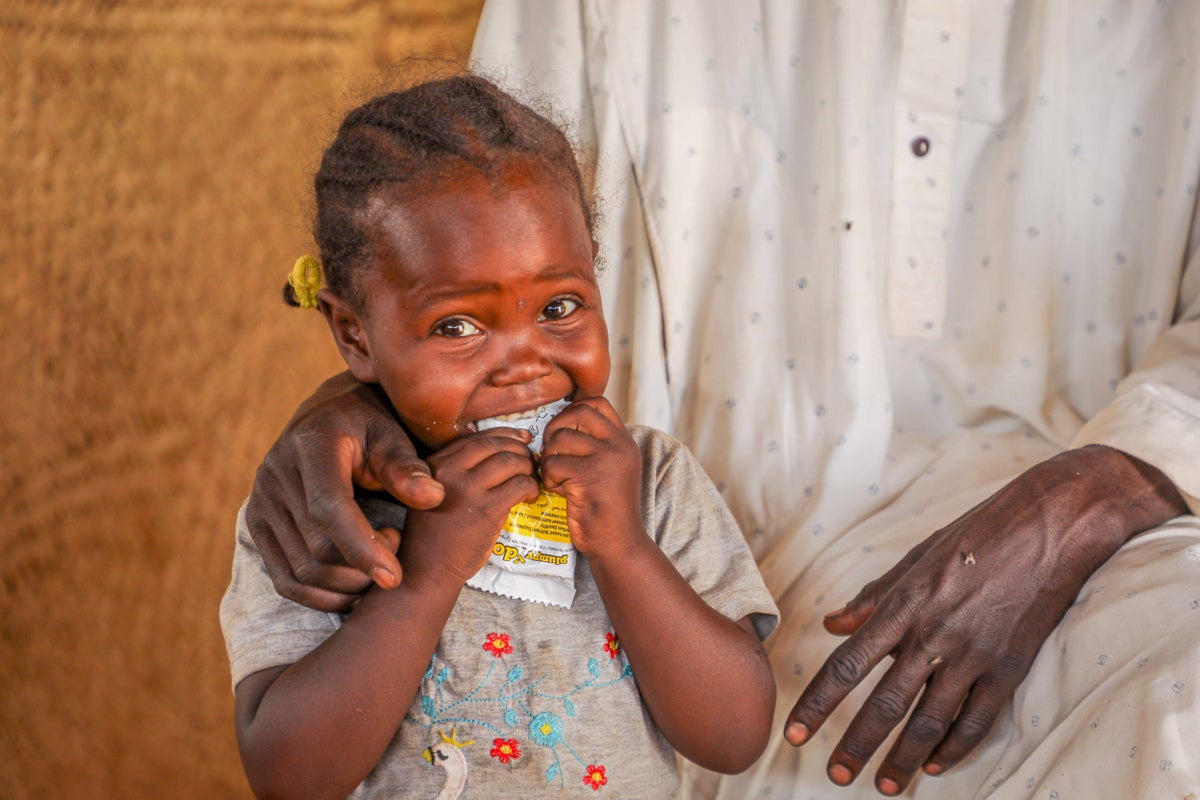 Sudan refugees in Chad face temperatures rising to 50C and little food and water as they struggle to survive