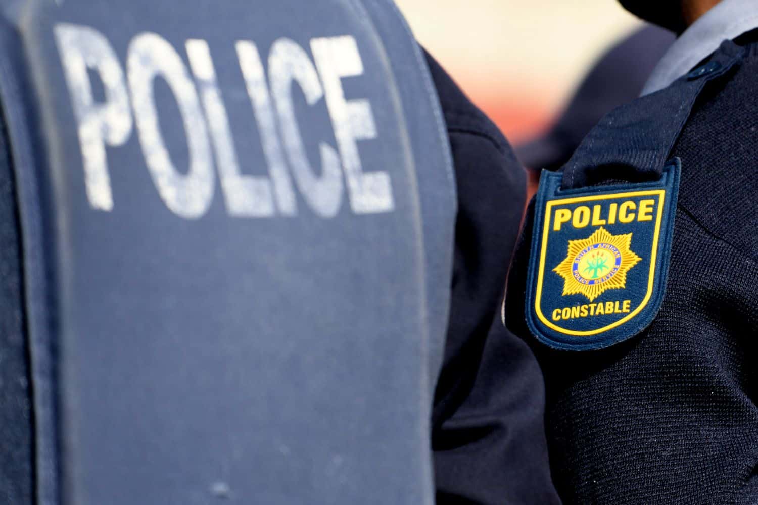 Suspended Mpumalanga commissioner alleges political, business interference in policing