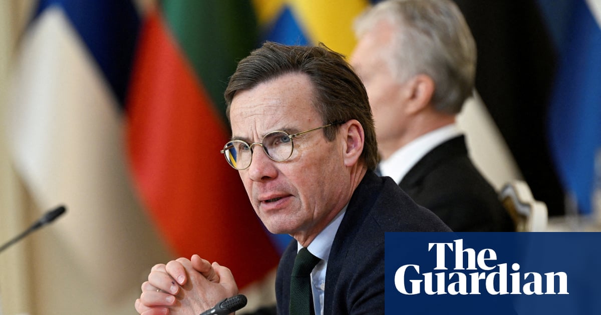 Swedish PM offers deal that could see far-right allowed into government | Sweden
