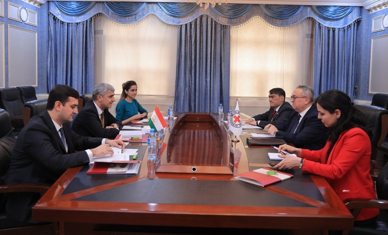 Tajikistan and Delegation of International Committee of Red Cross discuss cooperation