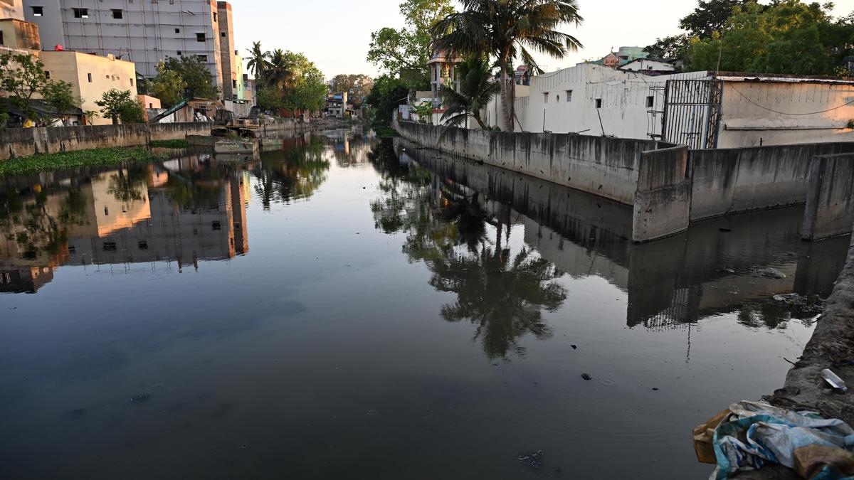 Tamil Nadu election 2026: Development, welfare, civic problems shape poll mood in Thiru. Vi. Ka. Nagar constituency