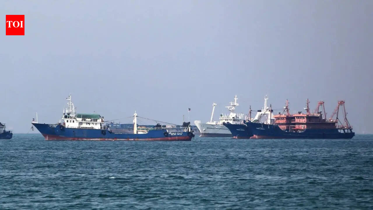 'Targeting commercial shipping unacceptable': India urges safe navigation through Strait of Hormuz at UN | India News