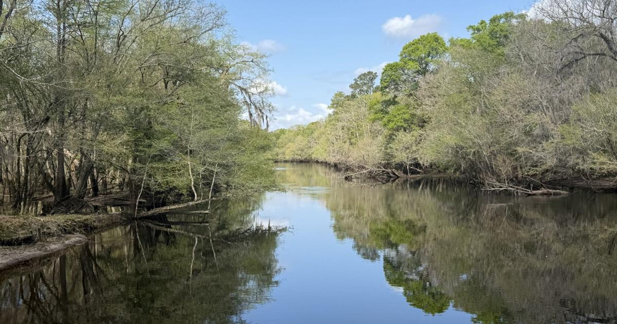 The less obvious benefit of SC’s new Black River State Park