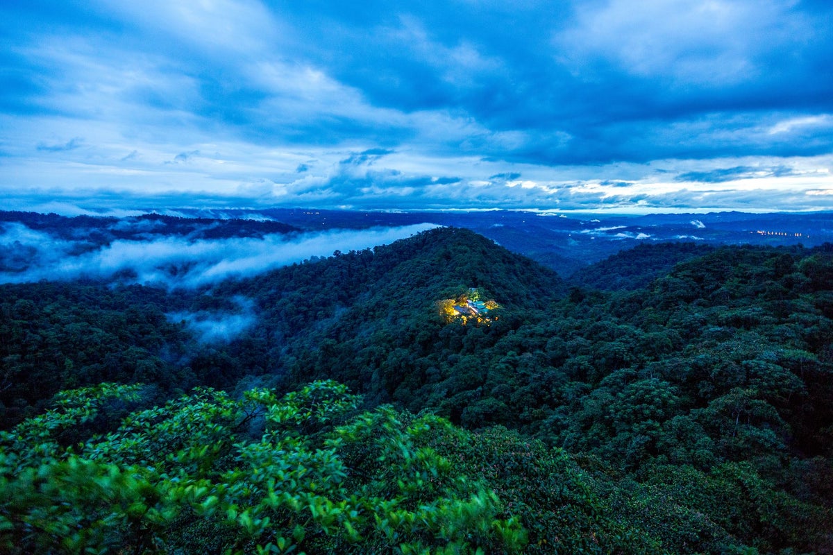 The rise of regenerative travel: Discover the retreat where every stay supports rainforest conservation and restoration