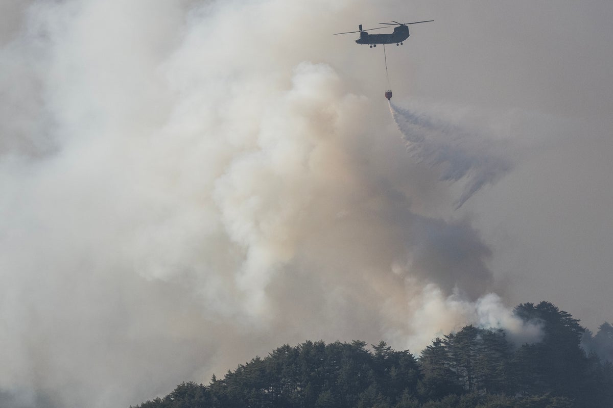 Thousands evacuate in Japan as forest fires close in on homes