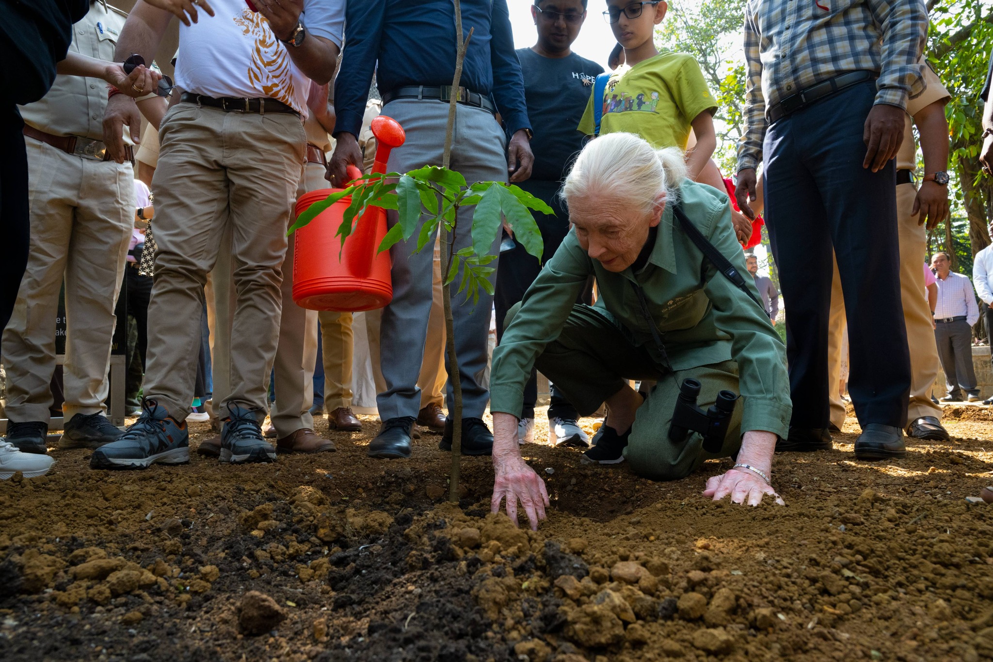 Jane Goodall planting a tree. Photo courtesy of the Jane Goodall Institute.