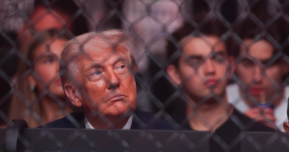 Trump's 'Praise be to Allah' posts? They're just plain weird