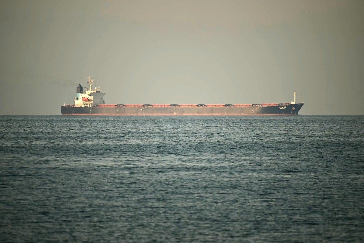 Turkey says 14 Turkish-owned ships remain near Strait of Hormuz