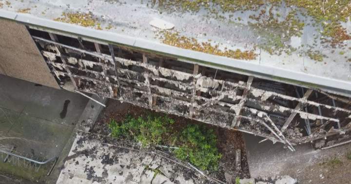 Vancouver Park Board approves plan to ask city for massive investment - BC