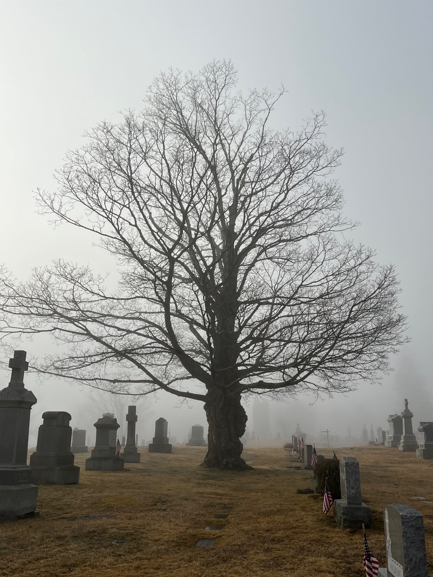 Vintage Views: The last wish