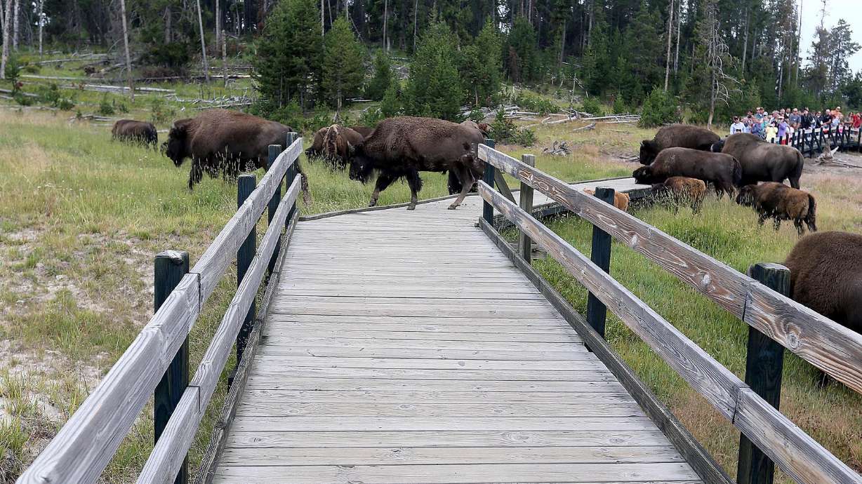 What Trump's proposed budget would mean for public lands in Utah and beyond