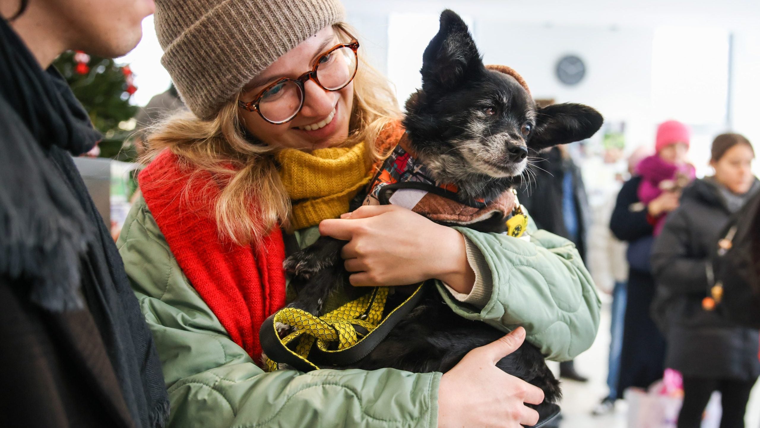 Wine, Wags, and Whiskers: A fundraising event to save Hamilton County animals - Indianapolis News | Indiana Weather | Indiana Traffic