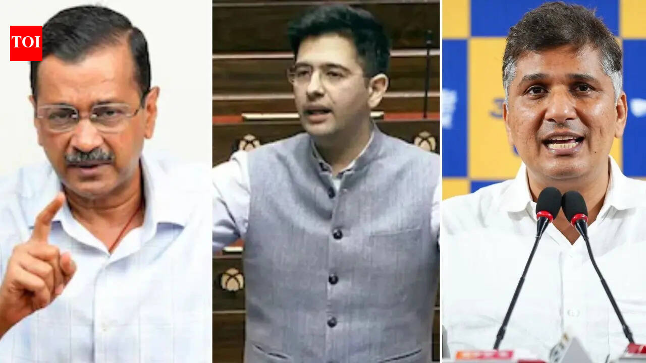 Z security, ED raids row: AAP-Raghav Chadha faceoff turns ugly; BJP piles on | India News