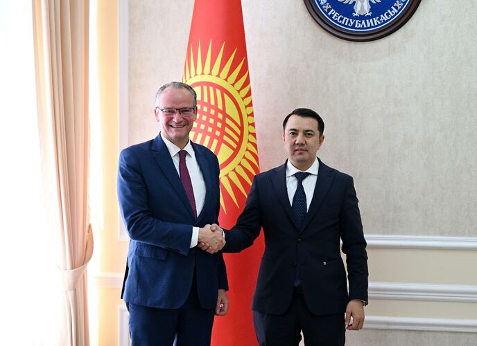 Zhogorku Kenesh Speaker discusses migration issues with German Bundestag member -