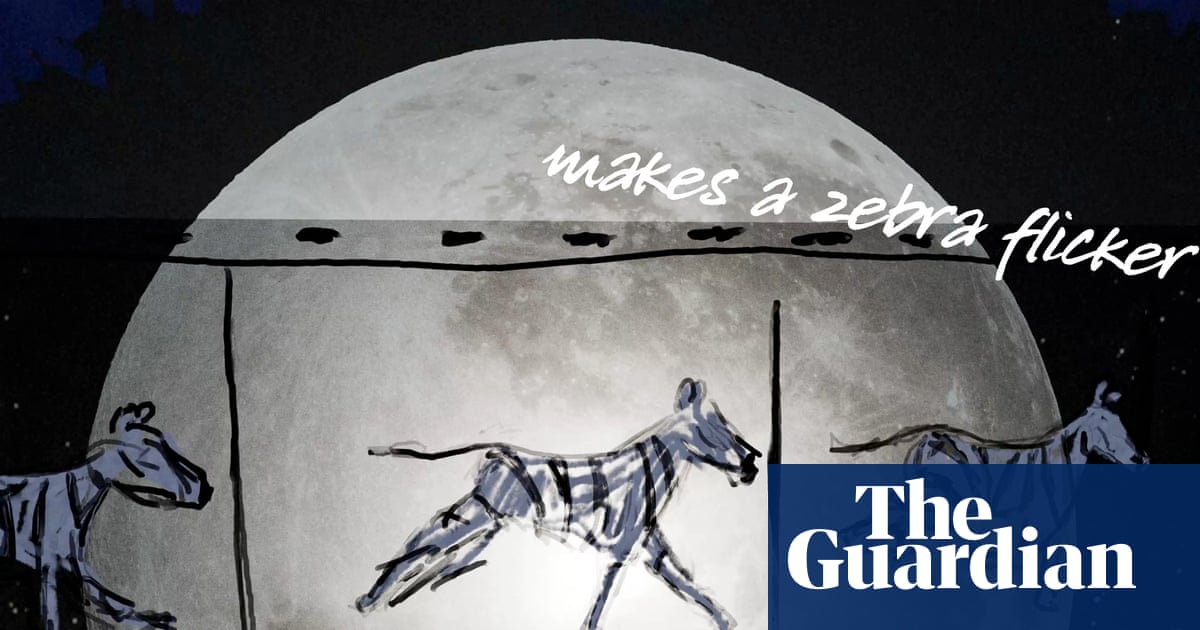 ‘The Moon and The Zoo’: Simon Armitage poem celebrates 200 years of ZSL | Zoology