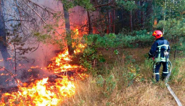 2,400 hectares of forest burn near Chernihiv region border due to Russian aggression