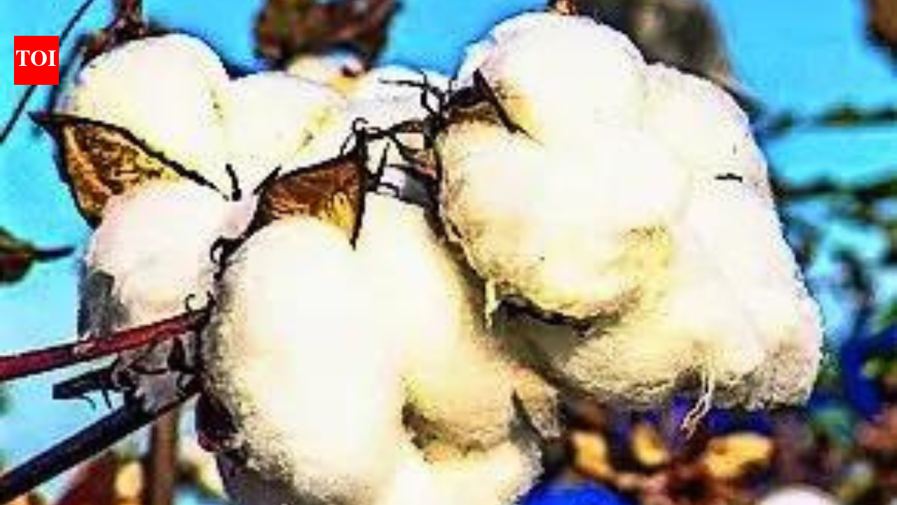 5-month duty relief for cotton imports