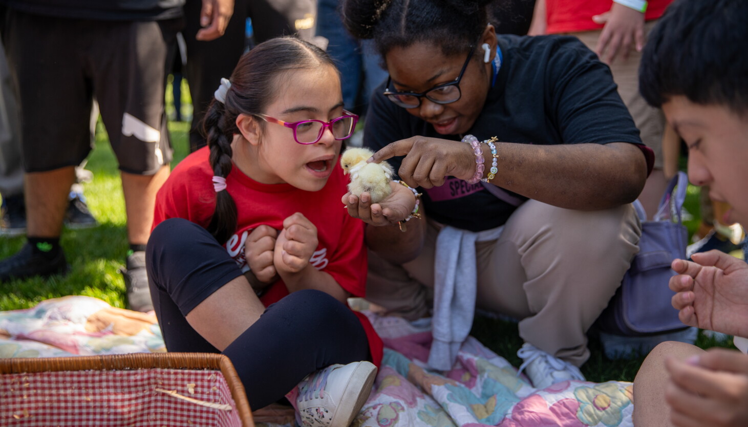 A petting zoo, helicopter and wrestling match: Chicago Park District hosts first disabilities celebration