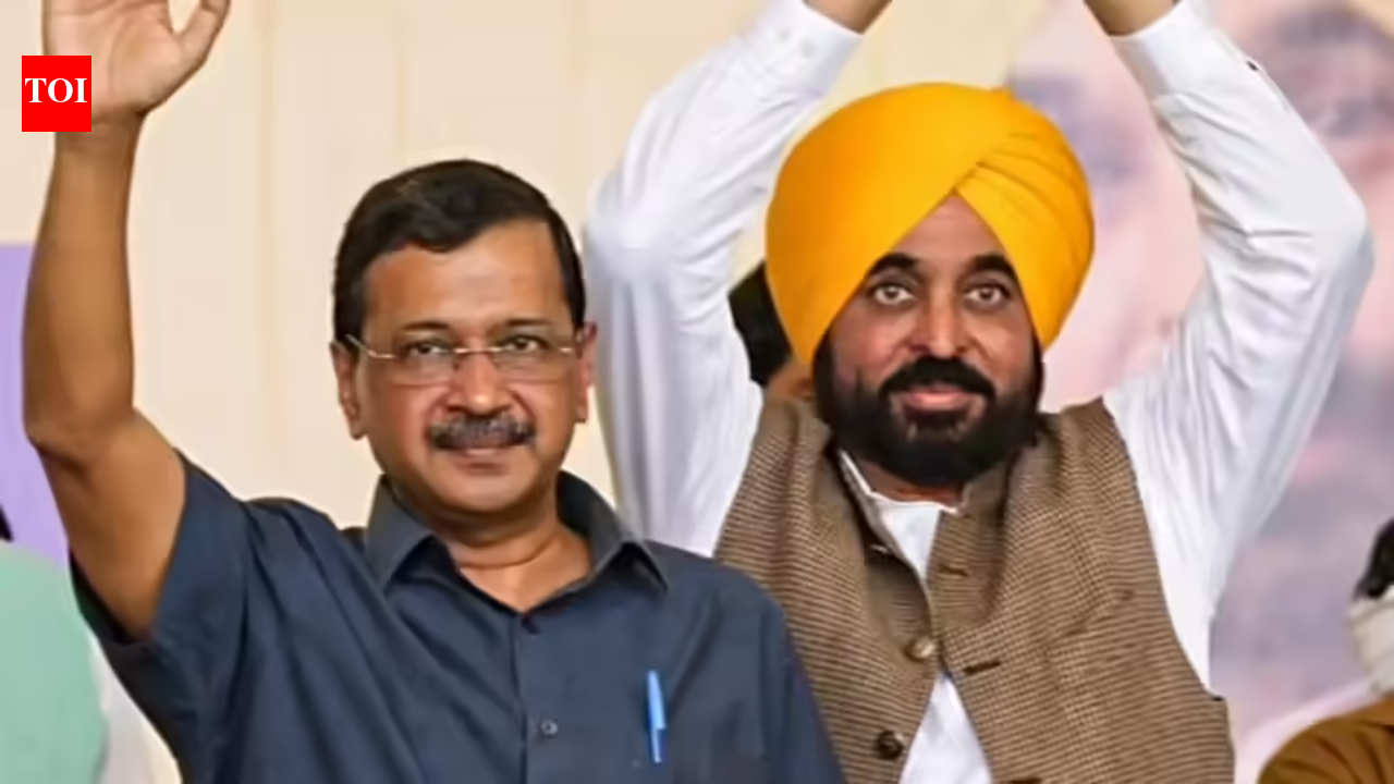 AAP wins big in Punjab civic elections ahead of 2027 assembly polls | Chandigarh News