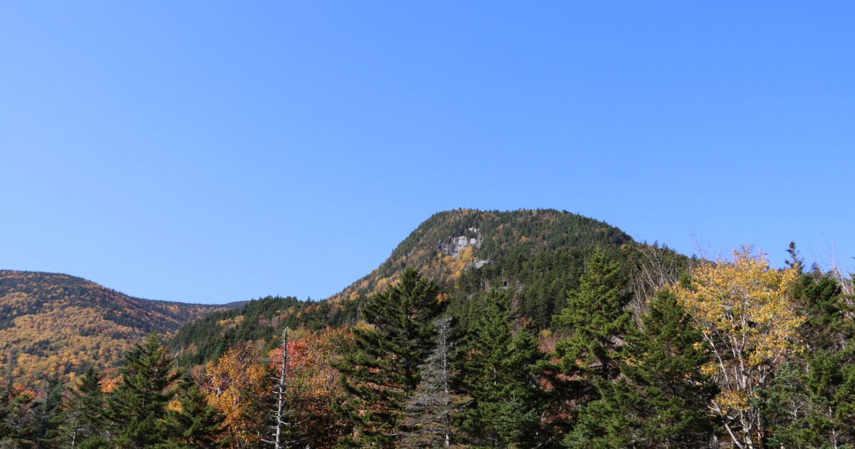 Advocates say there is ‘no substitute’ for research at Bartlett Experimental Forest